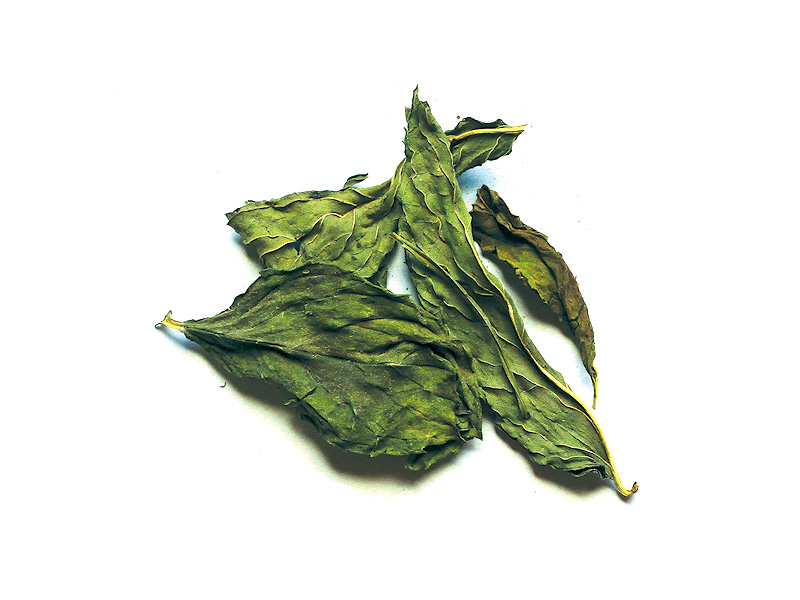 Δυόσμος φύλλο Αιγύπτου