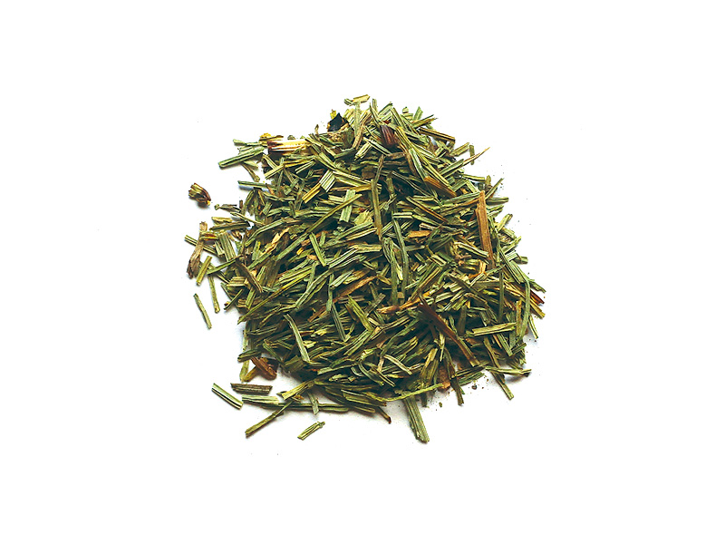 Εκουιζέτο Γερμανίας