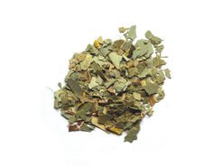 ευκαλυπτος