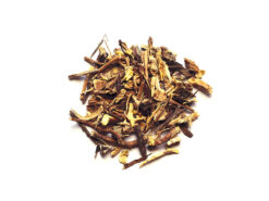 Εχινάκεια Ευρώπης (εχινάτσια)