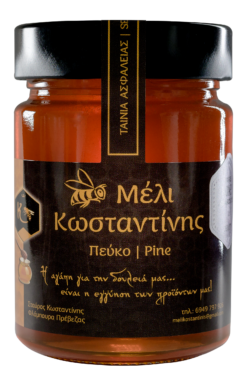 Μέλι Πεύκου Πρέβεζας 450g – Φυσικό Τονωτικό & Χαμηλό σε Θερμίδες